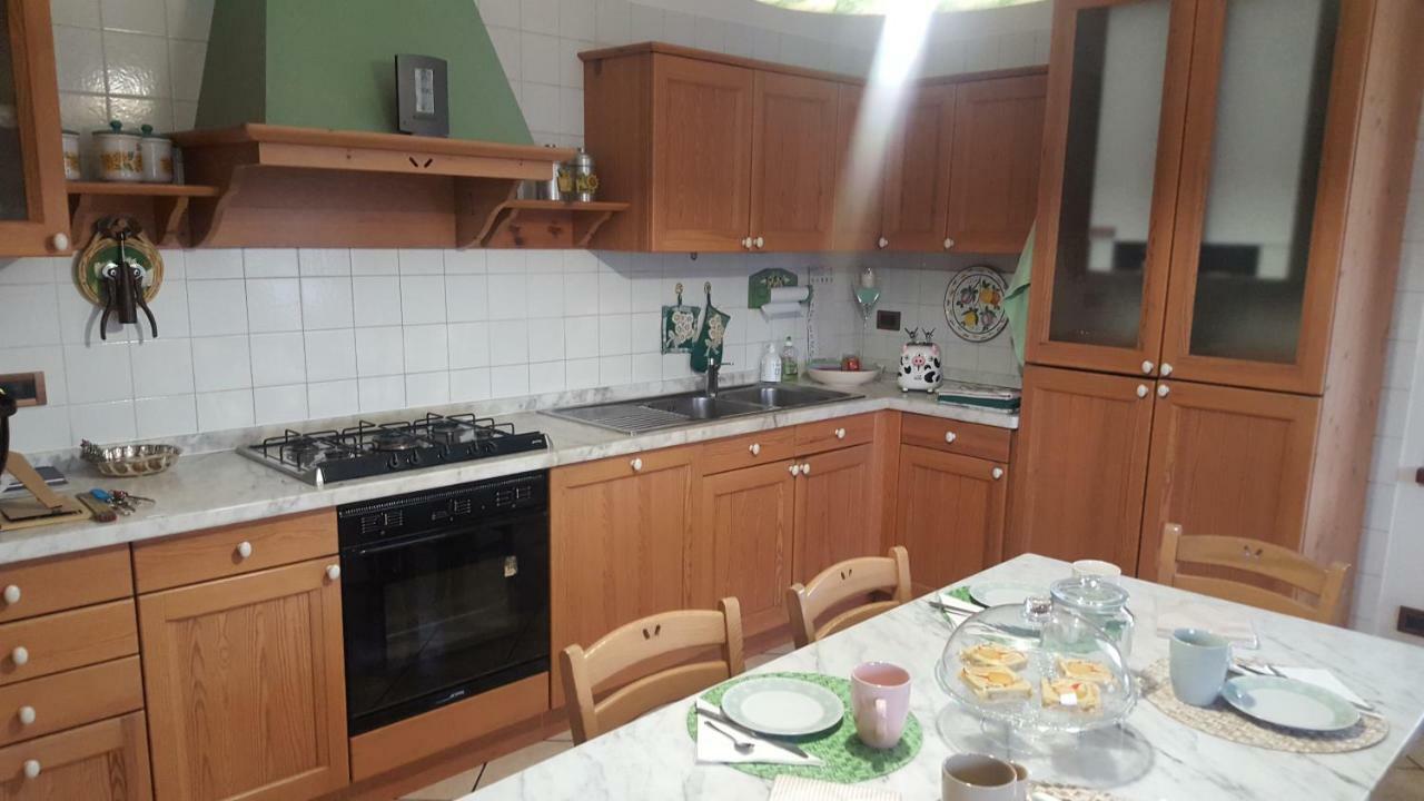 Daddyrooms Treviso Zewnętrze zdjęcie